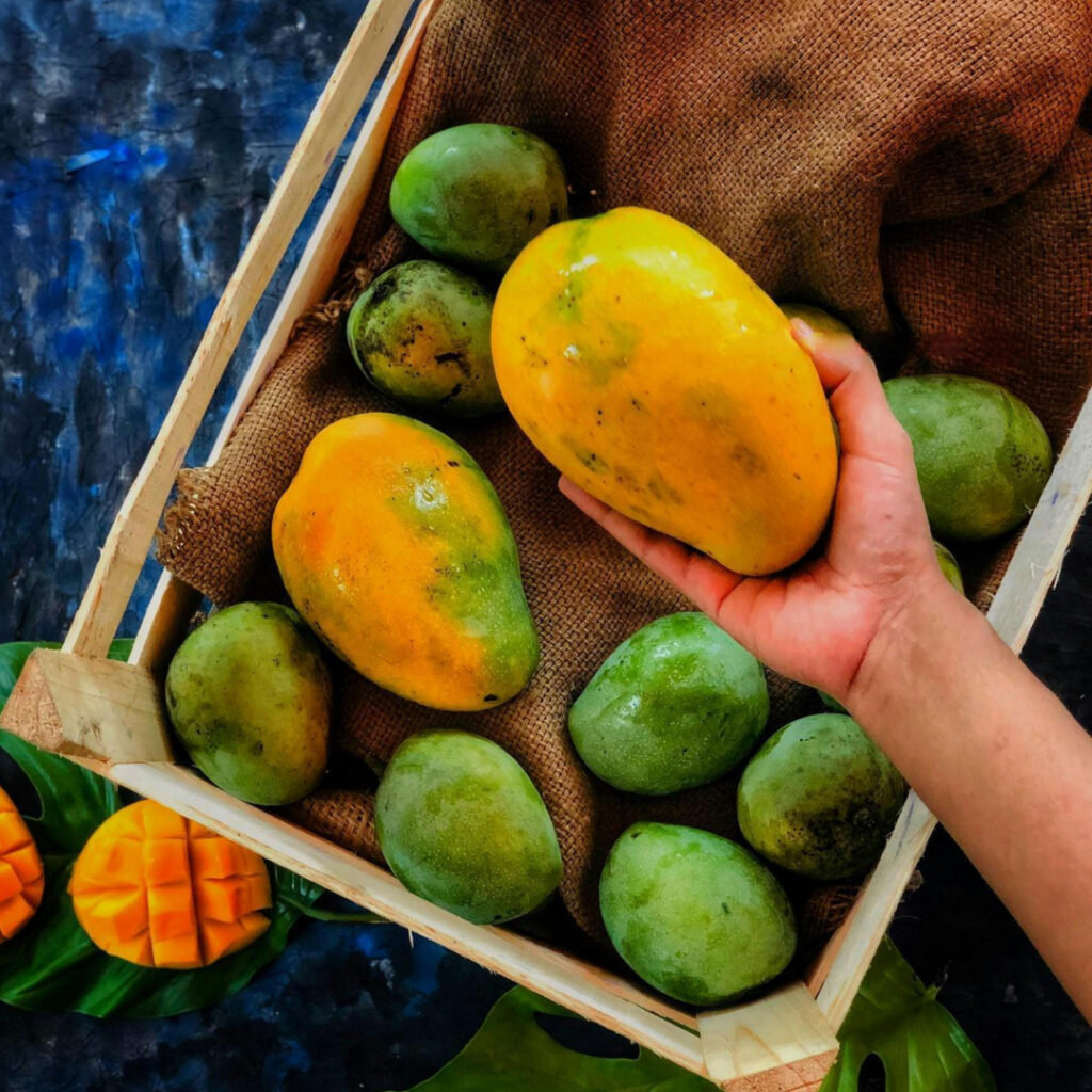 The Sweet Truth: Why Carbide-Free Mangoes are the way to go