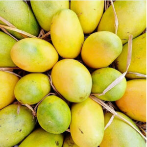 Cheruku Rasalu Mango